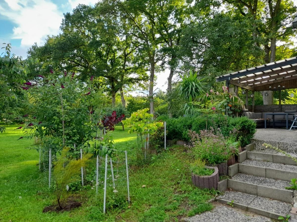 Haus Wald Und Wiese Wohnung Wiese Ehndorf Exteriér fotografie