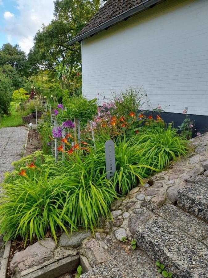 Haus Wald Und Wiese Wohnung Wiese Ehndorf Exteriér fotografie